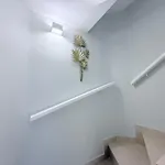 Hdfm Collection - Oasis