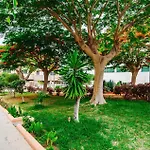 Hdfm Collection - Oasis *