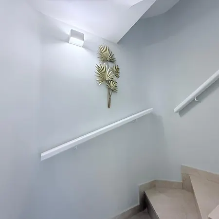 Hdfm Collection - Oasis