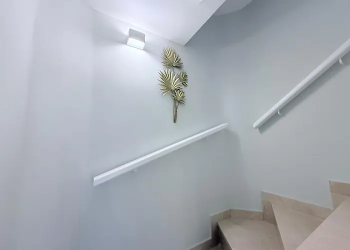 Hdfm Collection - Oasis