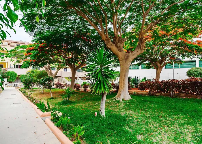 Hdfm Collection - Oasis *